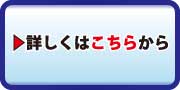 詳細を見る